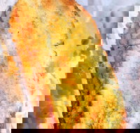 Burnt Toast - Stayed