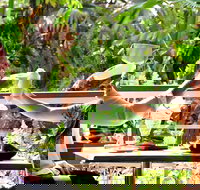 Jaques Coffee Plantation - Stayed