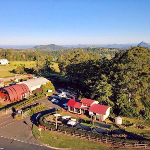 Live Foods Cafe - Stays Accommodation 0