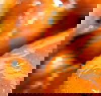 Morish Nuts - Stayed