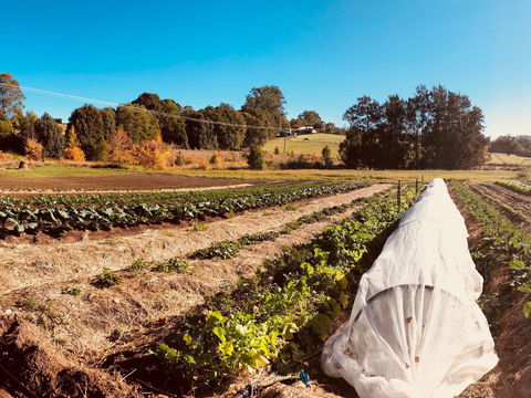 Synchronicity Farm - Stays Accommodation 0