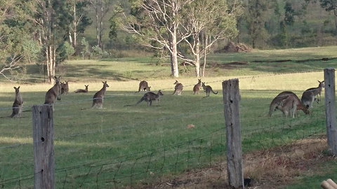 Mistletoe Winery - Stayed 1