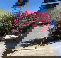 Alpine Gate Cafe - Stayed