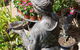 Sarah's Sister's Sustainable Cafe - thumb 31