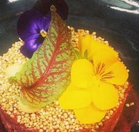 The Shack Cafe - Stayed