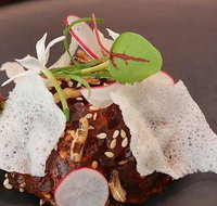 Collins Kitchen - Stayed