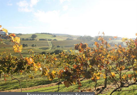 Oak Room Eleven - Stays Accommodation 6