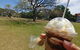 Cafe 63 - thumb 4