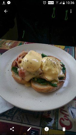Cafe 176 - Stays Accommodation 0
