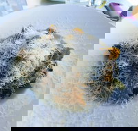 Amano Restaurant - Stayed