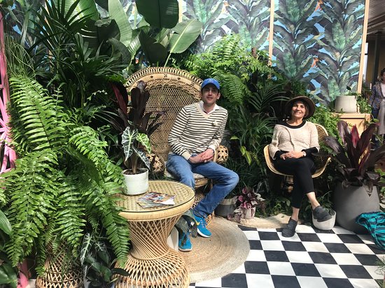 South Hobart TAS Stayed