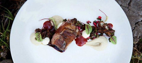 MIKA Airlie Beach - Stayed 14