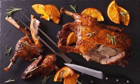 MIKA Airlie Beach - Stayed 5