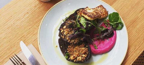 Pipi At Middleton - Stayed 2