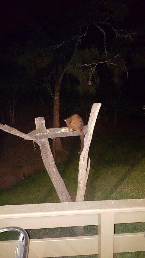 Broken River Mountain Resort - Stayed 7