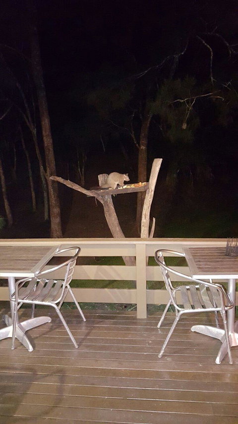 Broken River Mountain Resort - Stayed 9