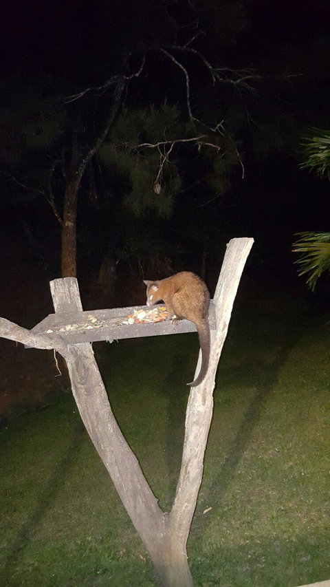 Broken River Mountain Resort - Stayed 11