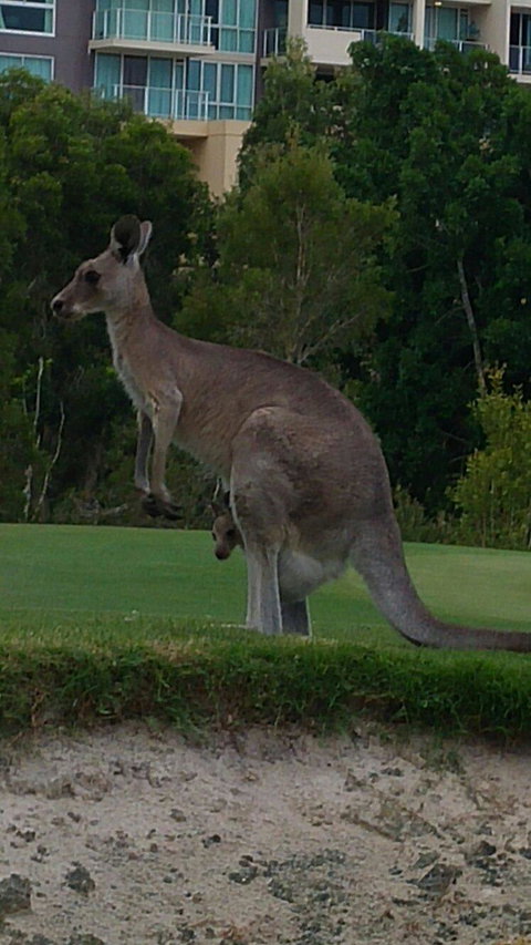 T On Course - Stayed 3