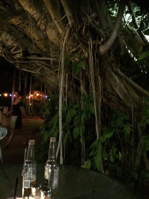 Big Fig Bistro - Stayed 6