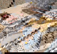 Cafe Uccello - Stayed