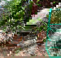 Larrimah Pink Panther Hotel - Stayed