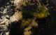 Black Cow Bistro - thumb 1