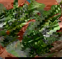 Soph Slice Gourmet Pizza Bar