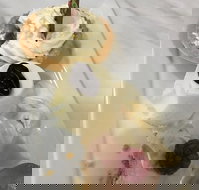 The Archie Secret Cafe - Stayed