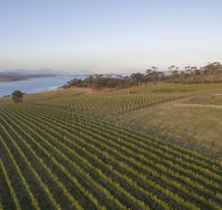 Bangor Vineyard Shed - Stayed