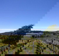 Barringwood Vineyard and Cellar Door Restaurant - Stayed