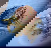 Bayside Inn - Stayed