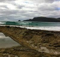 Bruny Island Berry Farm - Stayed