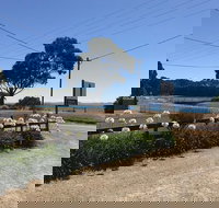 Penguin  Pardalote Coffee House - Stayed