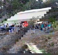 The Bay Fish - Stayed