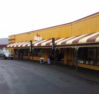 The Brown Dog - Stayed