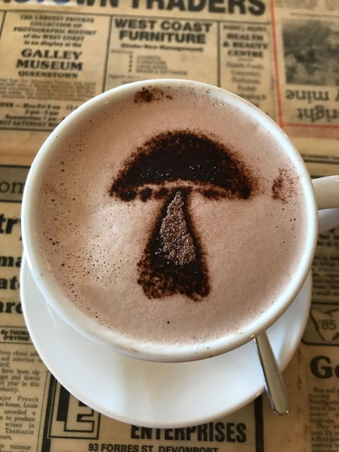 The Mushroom At Waratah - Stays Accommodation 9