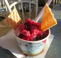 The Pondering Frog - Stayed