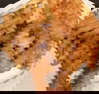 Brighton Fish Supply - Stayed