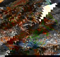 Ciao Italia - Stayed