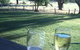 Lake Clifton Tavern And Motel - thumb 2