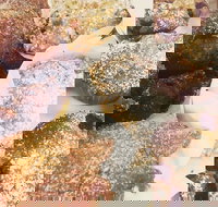 Little Lamonts - Stayed