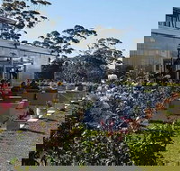 Castelli Vineyards - Stayed