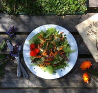 Fair Harvest Farm Cafe