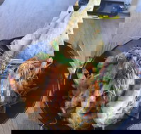 The Strand Byford Lakeside Restaurant  Cafe - Stayed