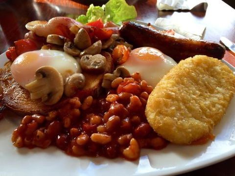 Cafe Cinco Gallos - Stayed 0