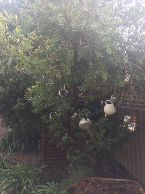 Dwellingup Blue Wren Cafe - Stayed 2