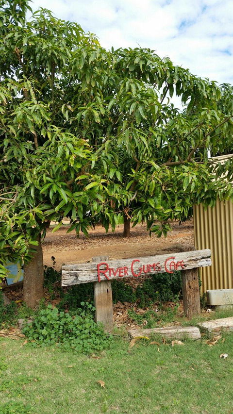 River Gums Cafe - Stays Accommodation 2