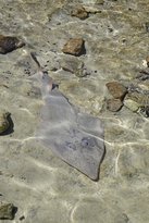 Shark Bay Ocean Park Aquarium - Stayed 1