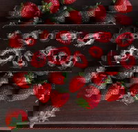 Temper Temper Fine Chocolate