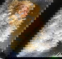 The Noodler's Noodle Bar Eaton - Stayed